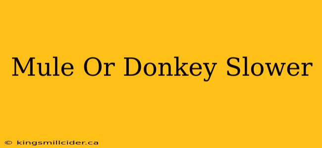 Mule Or Donkey Slower