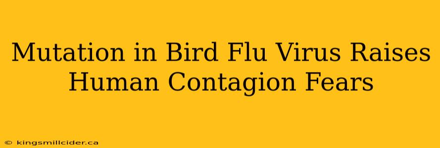 Mutation in Bird Flu Virus Raises Human Contagion Fears