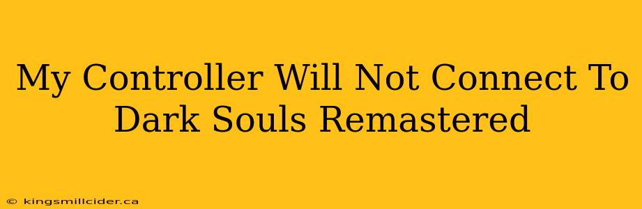 My Controller Will Not Connect To Dark Souls Remastered