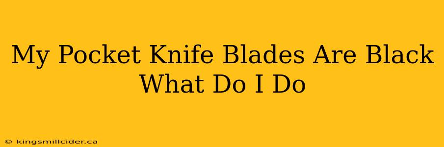 My Pocket Knife Blades Are Black What Do I Do