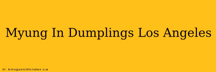 Myung In Dumplings Los Angeles