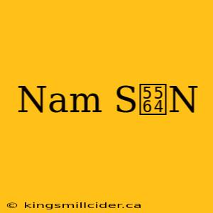 Nam S啤N