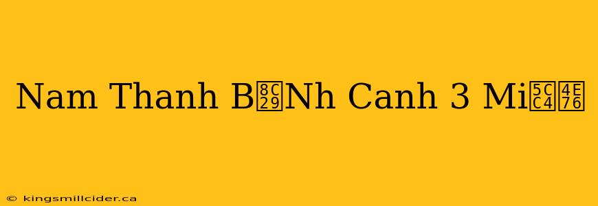 Nam Thanh B谩Nh Canh 3 Mi峄乶