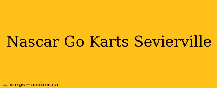 Nascar Go Karts Sevierville