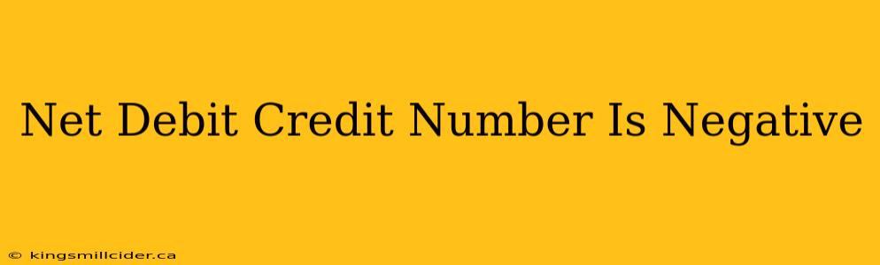 Net Debit Credit Number Is Negative