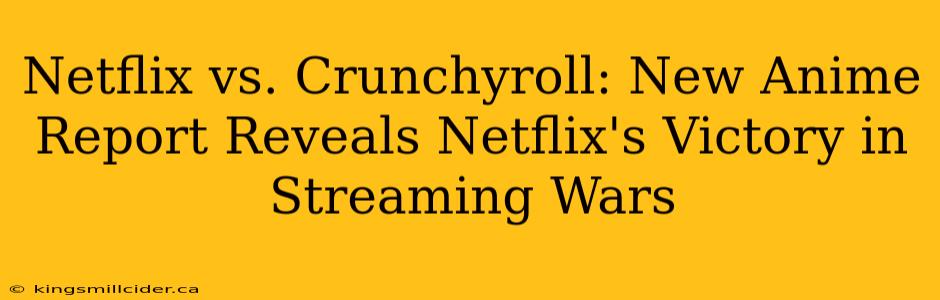 Netflix vs. Crunchyroll: New Anime Report Reveals Netflix's Victory in Streaming Wars