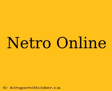 Netro Online