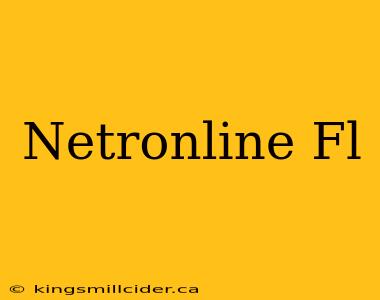 Netronline Fl