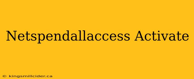 Netspendallaccess Activate