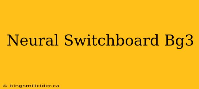 Neural Switchboard Bg3