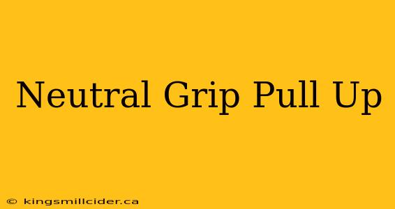 Neutral Grip Pull Up