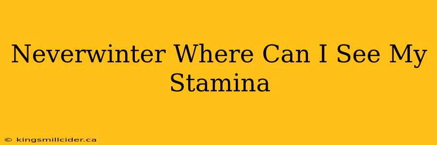 Neverwinter Where Can I See My Stamina