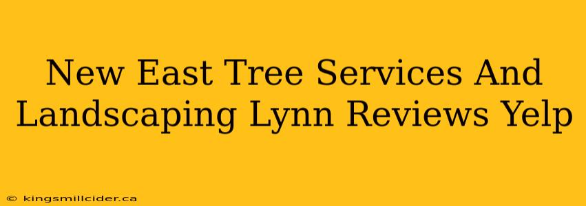 New East Tree Services And Landscaping Lynn Reviews Yelp