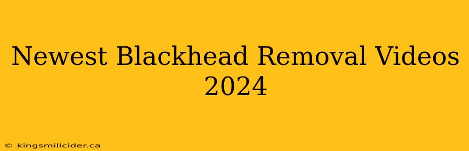 Newest Blackhead Removal Videos 2024