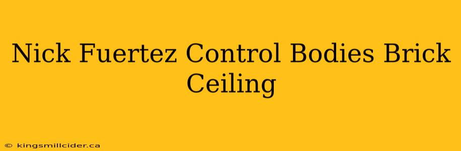 Nick Fuertez Control Bodies Brick Ceiling