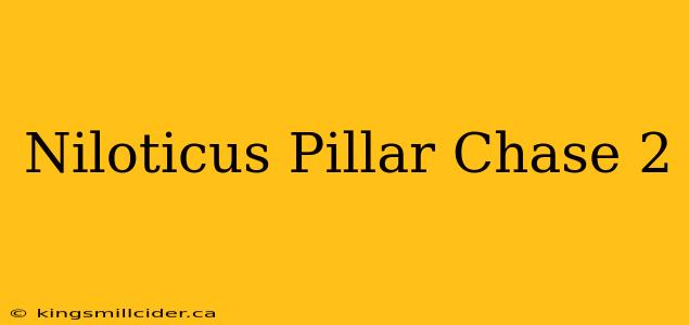 Niloticus Pillar Chase 2