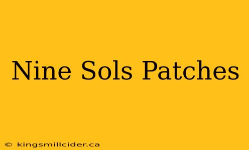 Nine Sols Patches