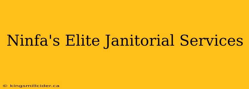 Ninfa's Elite Janitorial Services