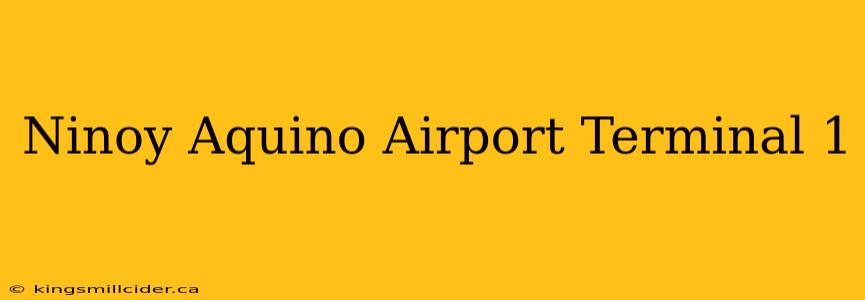 Ninoy Aquino Airport Terminal 1