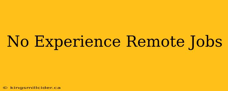 No Experience Remote Jobs