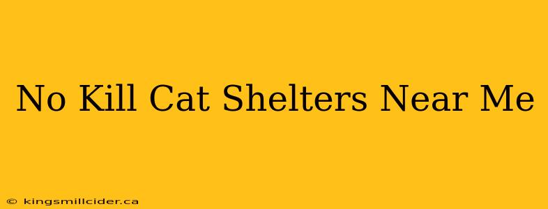 No Kill Cat Shelters Near Me