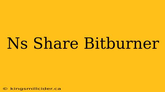 Ns Share Bitburner