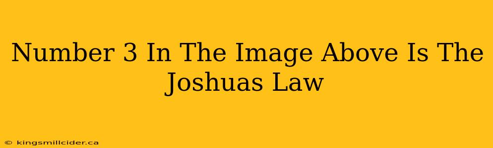 Number 3 In The Image Above Is The Joshuas Law