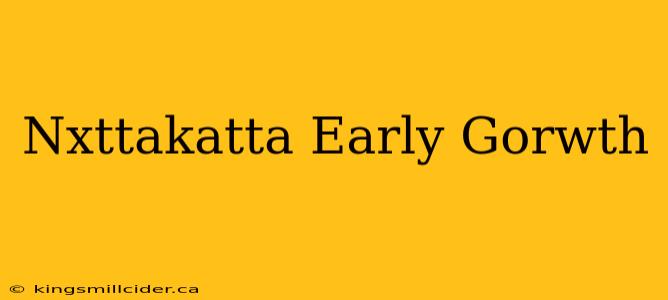 Nxttakatta Early Gorwth