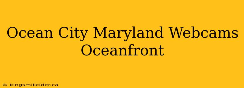 Ocean City Maryland Webcams Oceanfront