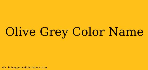 Olive Grey Color Name