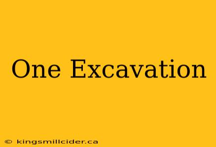 One Excavation