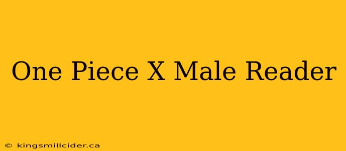 One Piece X Male Reader