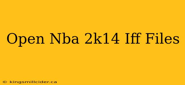 Open Nba 2k14 Iff Files