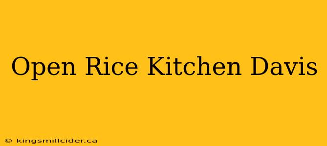 Open Rice Kitchen Davis