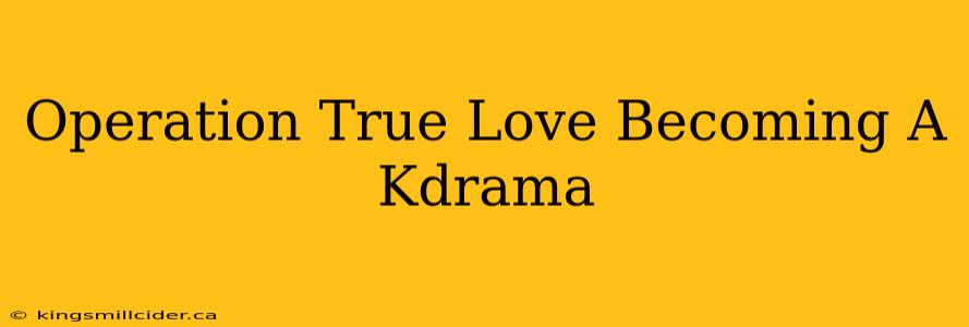 Operation True Love Becoming A Kdrama