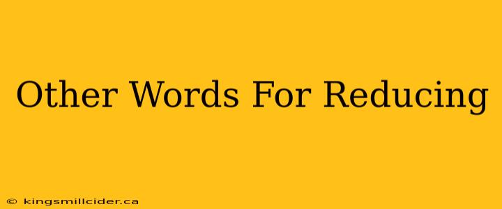 Other Words For Reducing