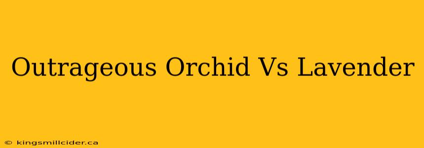 Outrageous Orchid Vs Lavender