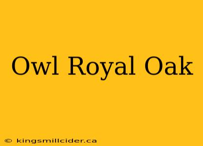 Owl Royal Oak