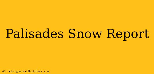 Palisades Snow Report