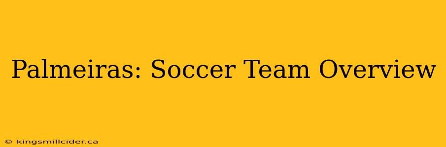 Palmeiras: Soccer Team Overview