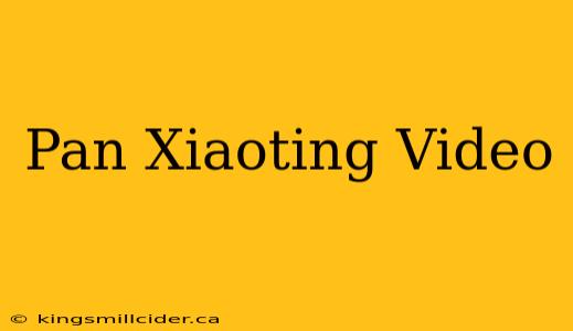 Pan Xiaoting Video