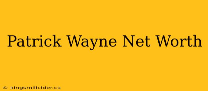 Patrick Wayne Net Worth