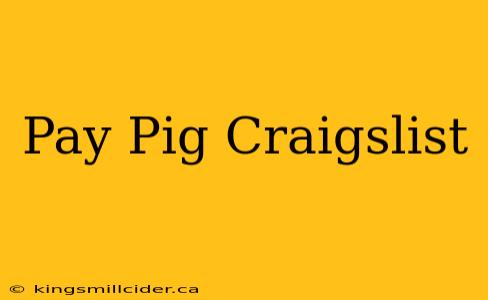 Pay Pig Craigslist