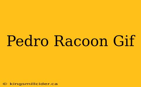 Pedro Racoon Gif