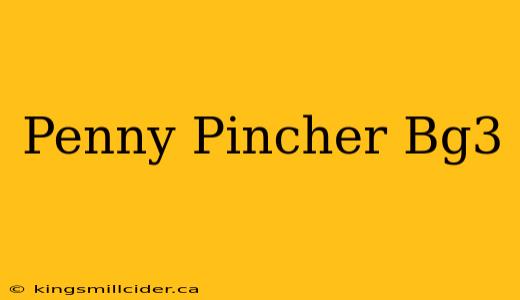 Penny Pincher Bg3