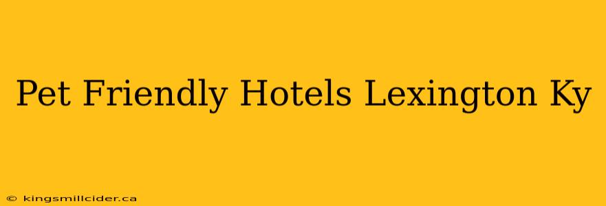 Pet Friendly Hotels Lexington Ky