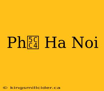 Ph峄 Ha Noi