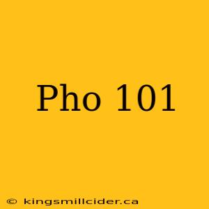 Pho 101