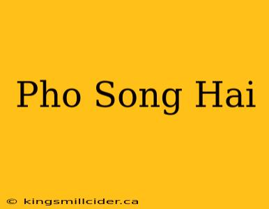 Pho Song Hai