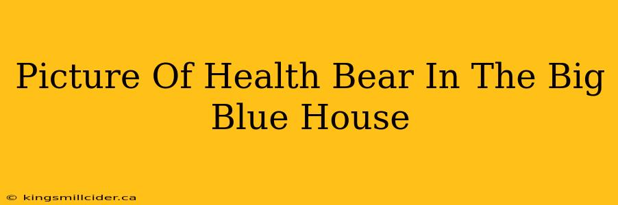 Picture Of Health Bear In The Big Blue House